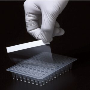 PCR PLATE 96 WELL PP 0.1ml|0.2ml