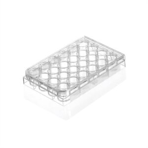 TISSUE CULTURE PLATE