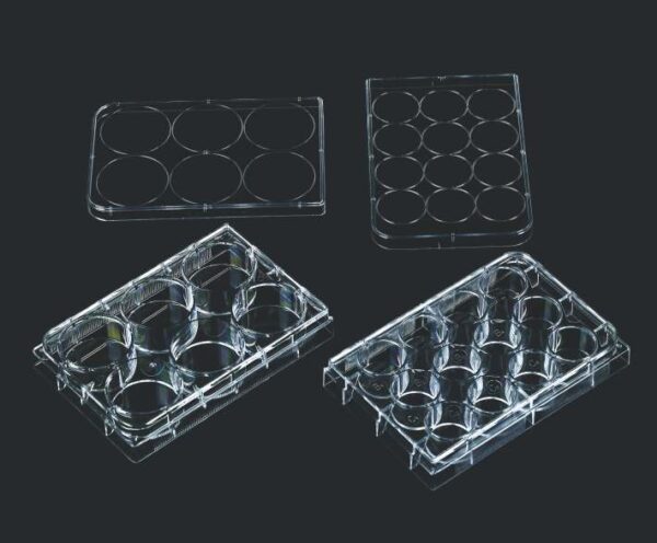 TISSUE CULTURE PLATE